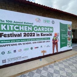 National Kitchen Gardening Training - Gadap