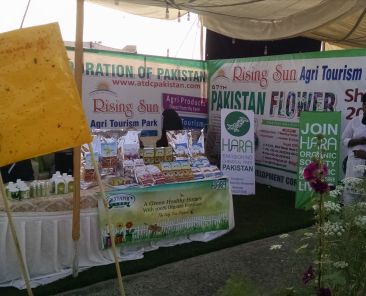 IMG_20180304_165536055 (1)