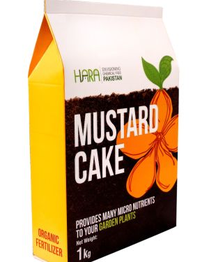 MUSTARD CAKE 800gm