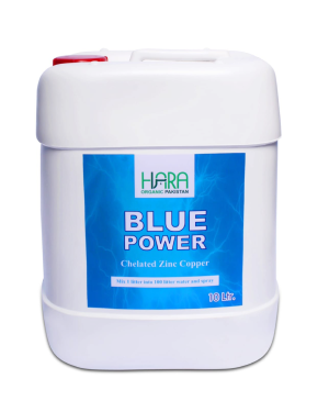 BLUE POWER 5ltr