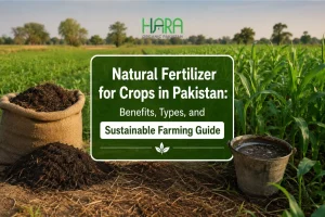 Natural Fertilizer for Crops