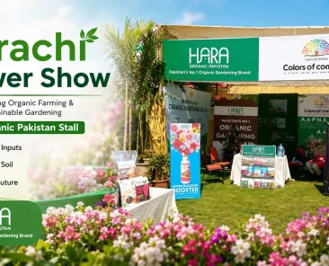 Karachi Flower Show