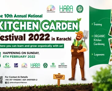 Organic Kitchen Gardening