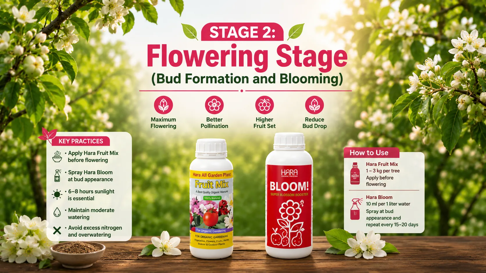 Stage 2 Flowering Stage (Bud Formation and Blooming)