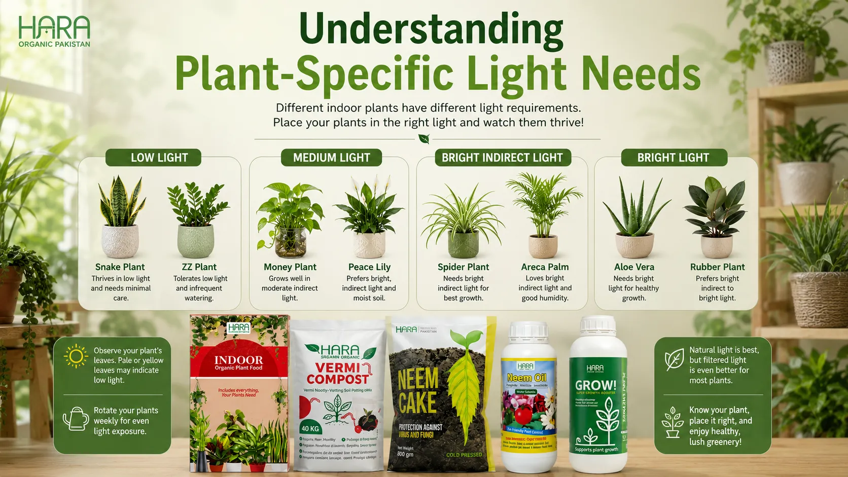 Understanding Plant-Specific Light Needs